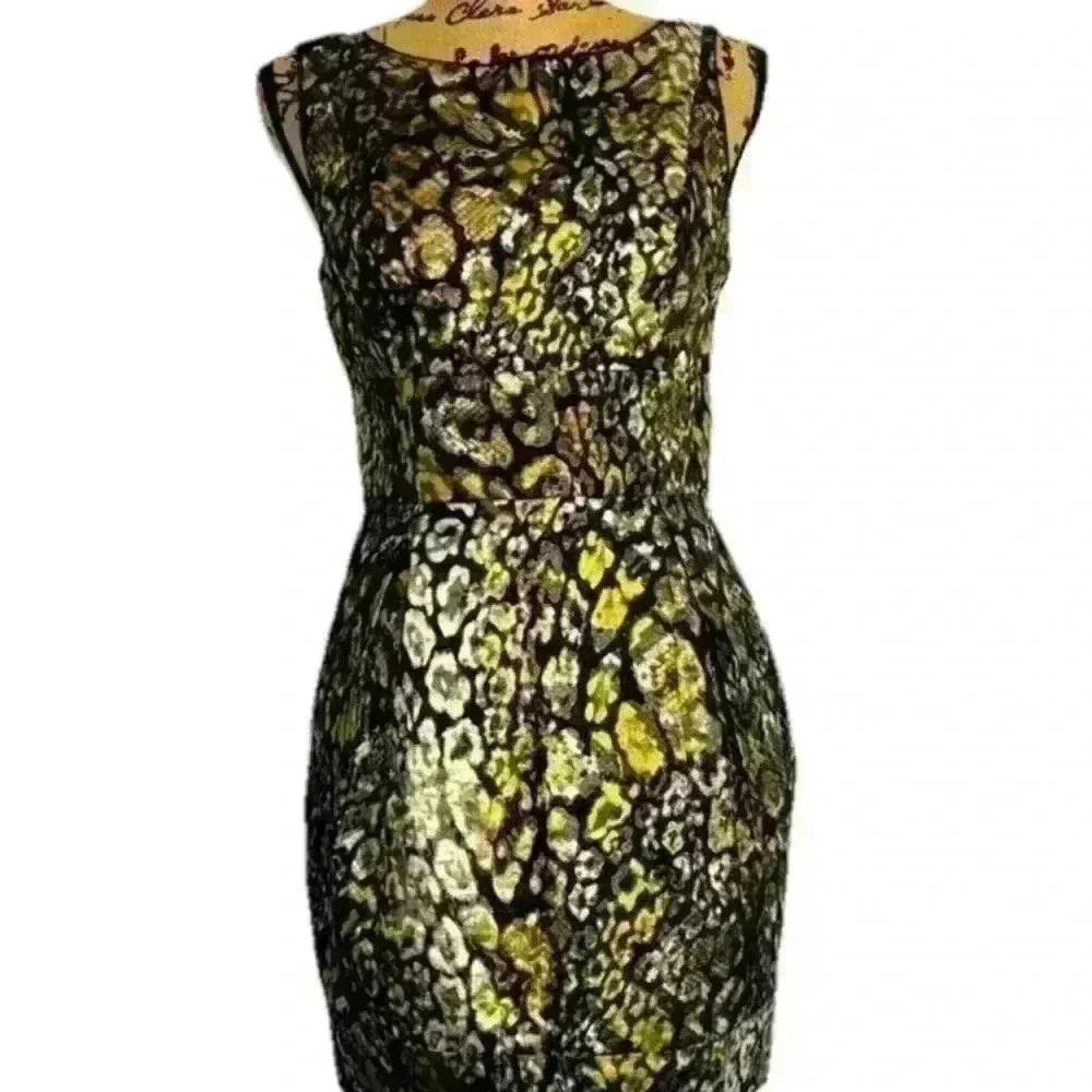 Anthropology Weston Dress